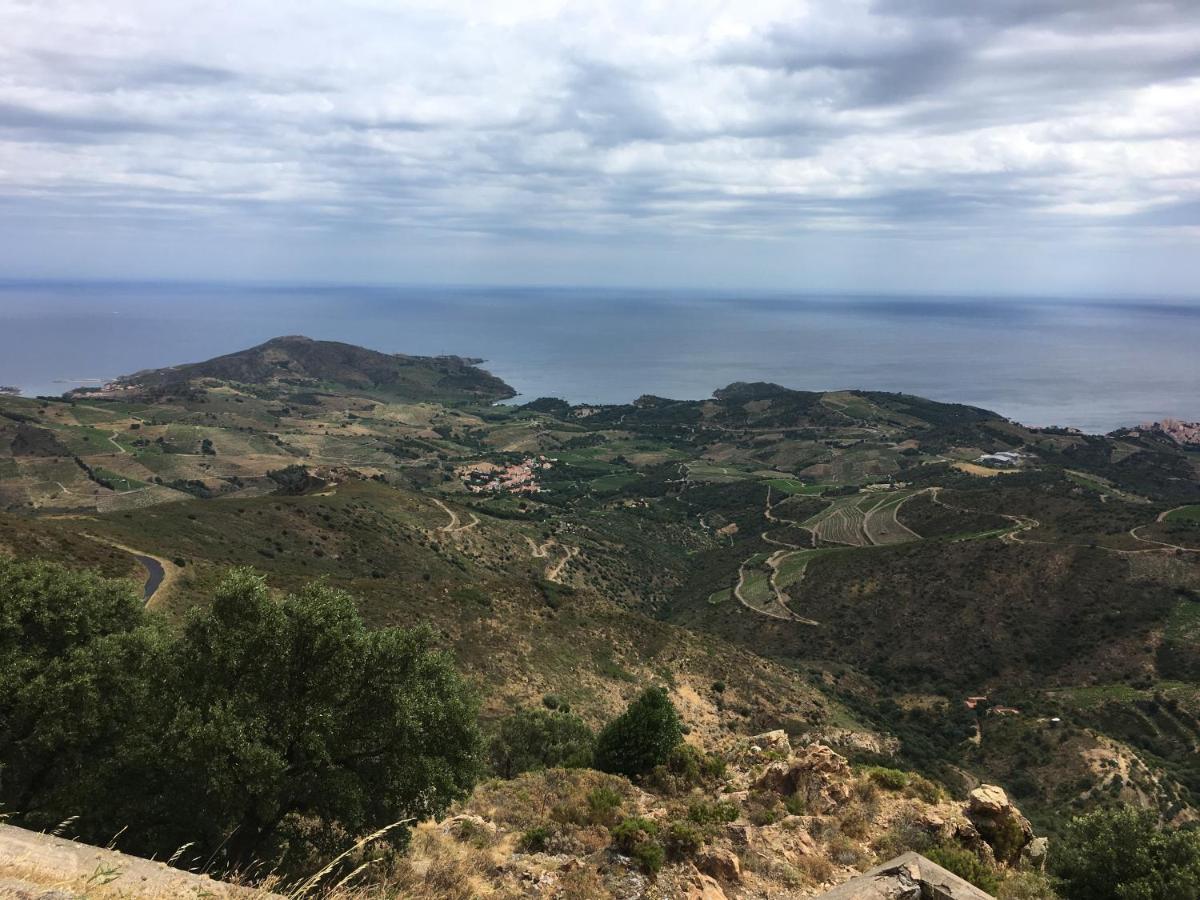 Vue Mer Panoramique Exceptionnelle L T2 Mezzanine Luxueux Banyuls-sur-Mer Zewnętrze zdjęcie