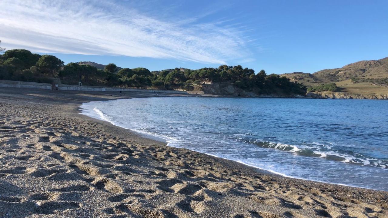 Vue Mer Panoramique Exceptionnelle L T2 Mezzanine Luxueux Banyuls-sur-Mer Zewnętrze zdjęcie