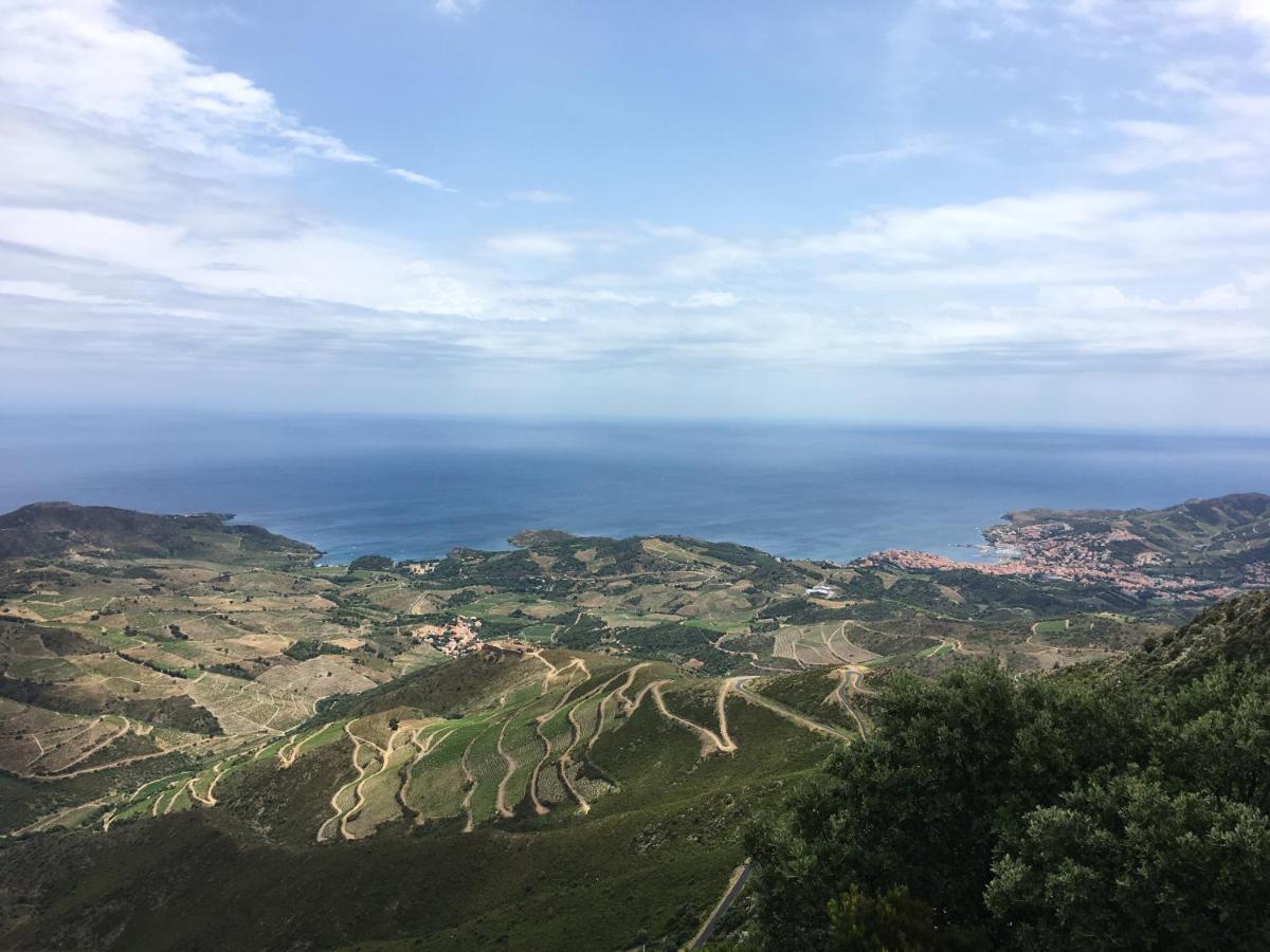 Vue Mer Panoramique Exceptionnelle L T2 Mezzanine Luxueux Banyuls-sur-Mer Zewnętrze zdjęcie